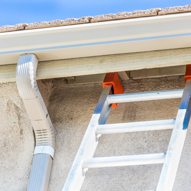 k style roof gutter and ladder